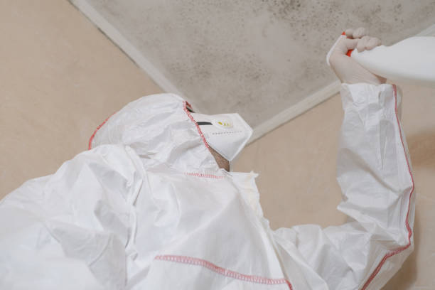 Best Mold Testing  in River Ridge, FL