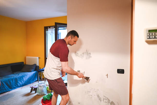 Best Crawl Space Mold Removal  in River Ridge, FL